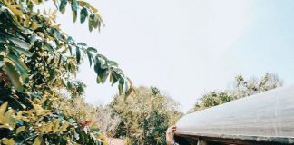 How to Travel Like a Local